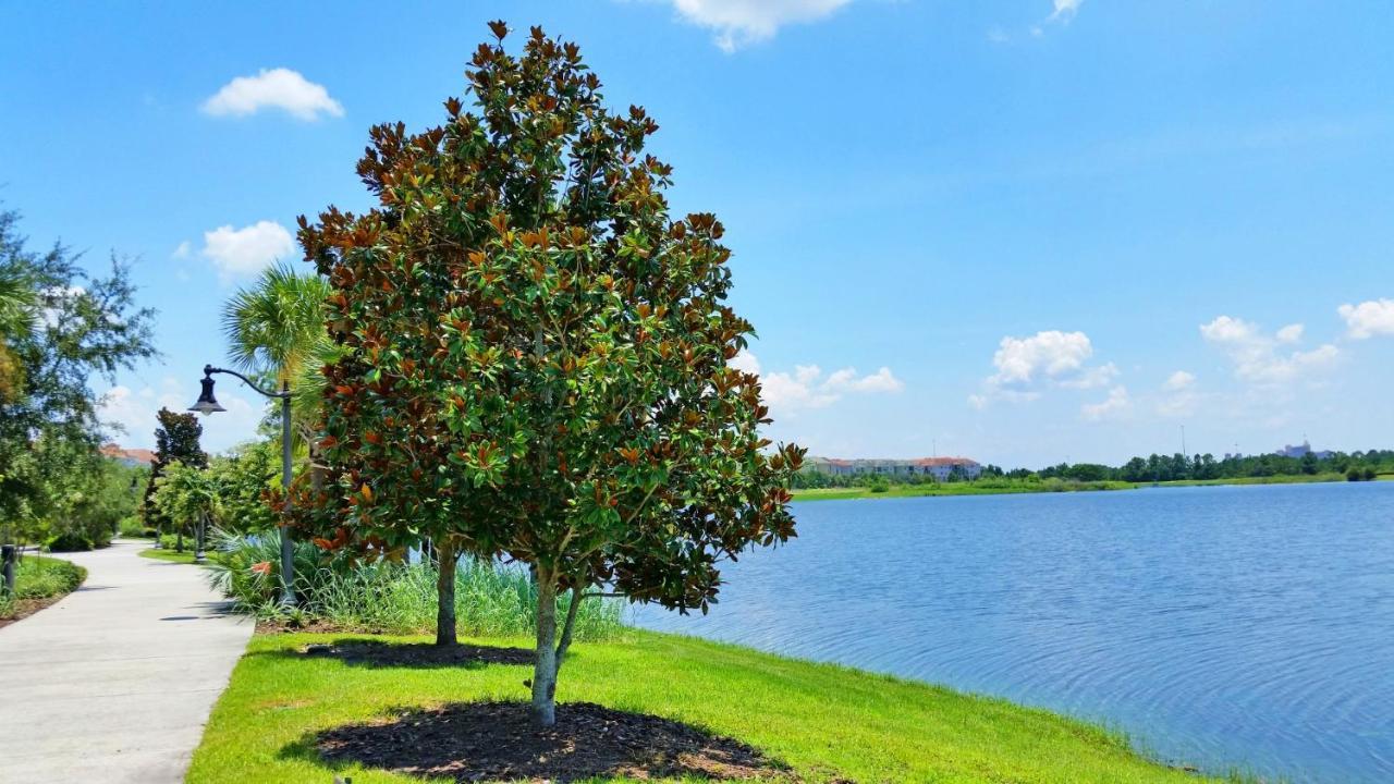 Ground-Floor Condo Next To Vista Cay Clubhouse And Pool! ออร์ลันโด ภายนอก รูปภาพ